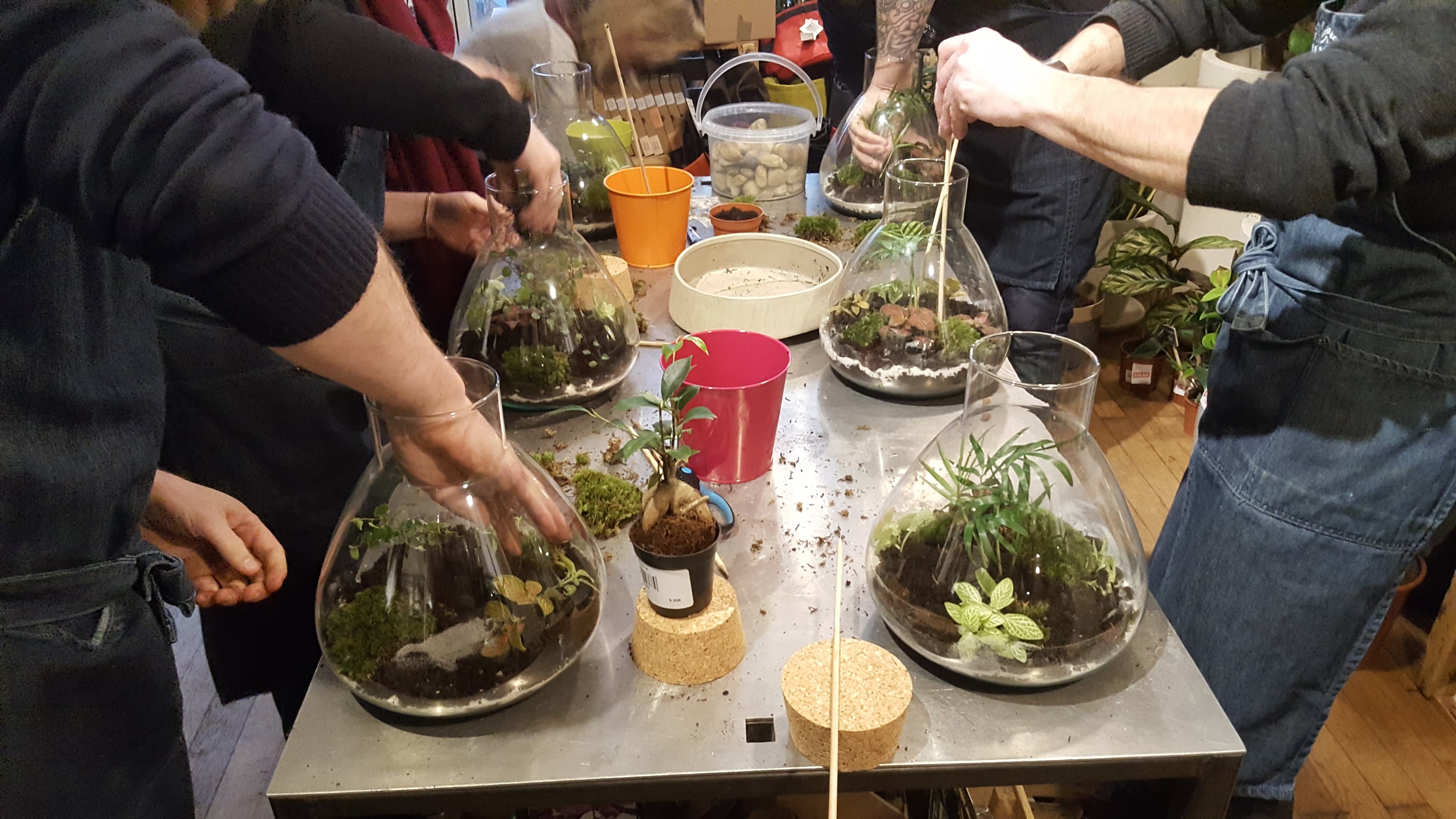 Groupe de participants assemblant leurs terrariums