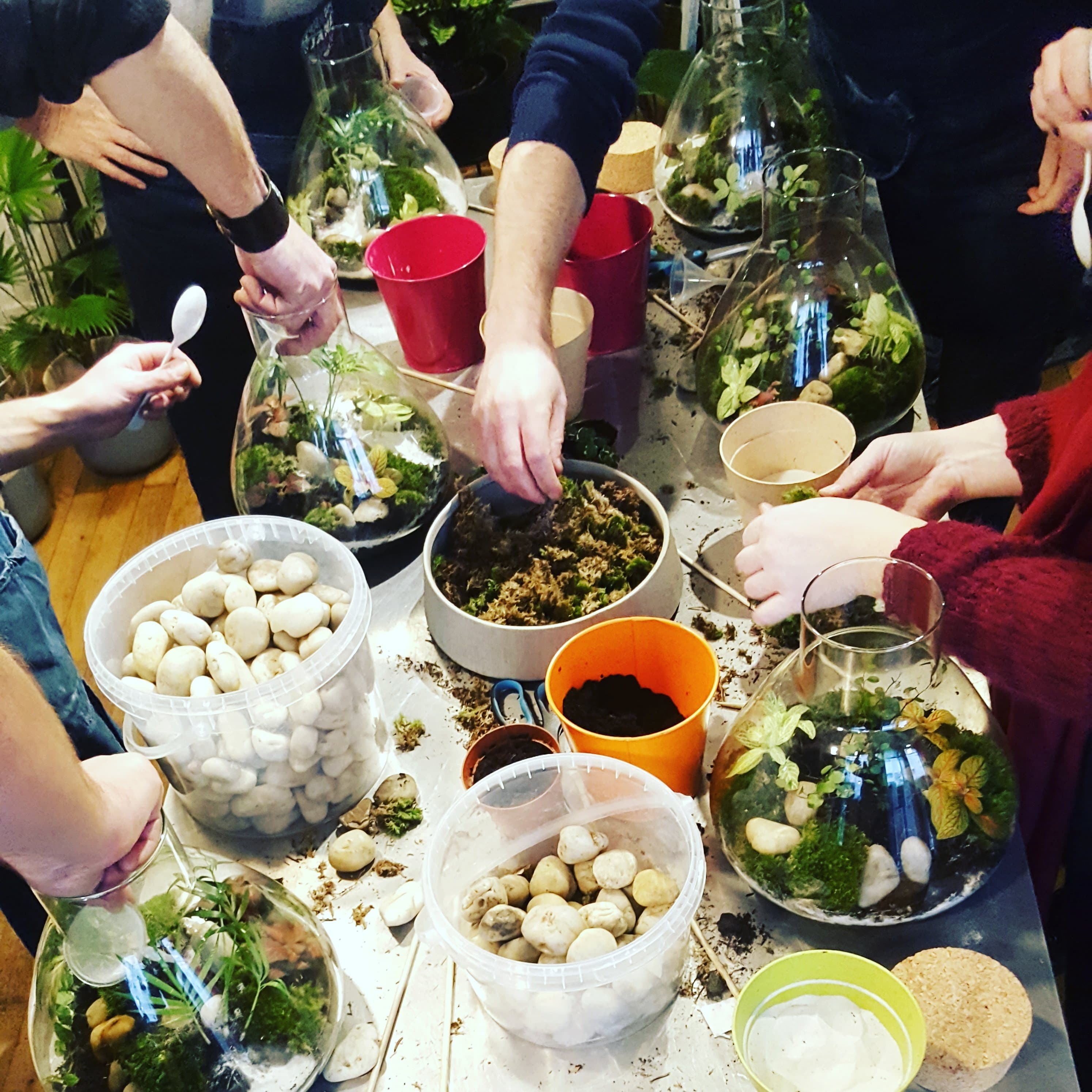 Participants réalisant leurs terrariums autour d’une table d’atelier